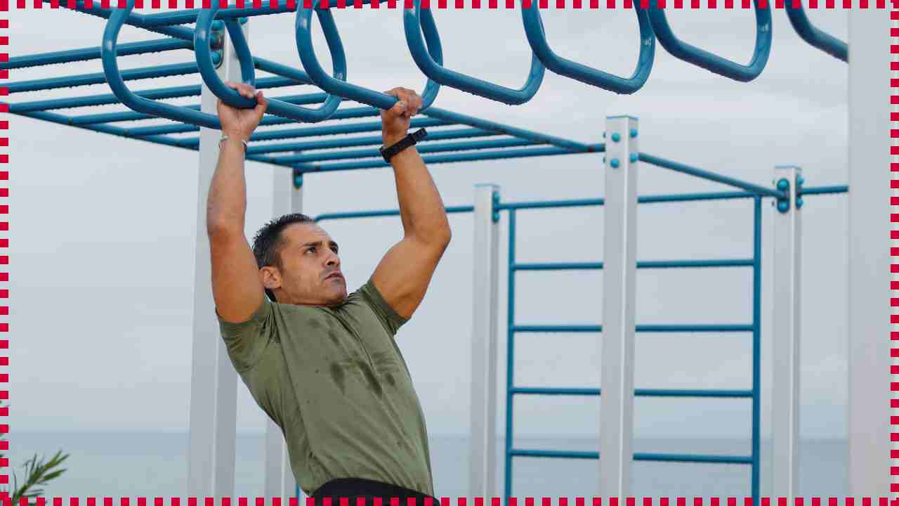 jungle gym workout equipment